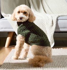 My Pets Cable Knit Jumper Khaki