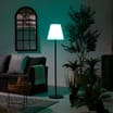 The Outdoor Living Collection Colour Changing Solar Floor Lamp