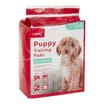 Puppy Training Pads Pack of 100