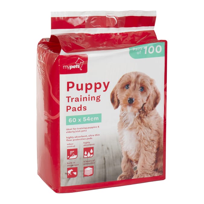 Puppy Training Pads Pack of 100