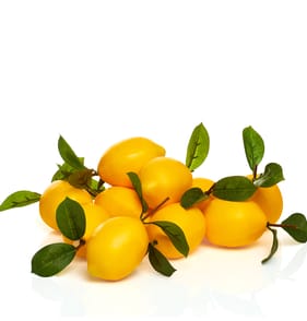 The Outdoor Edit Mediterranean Decorative Lemons