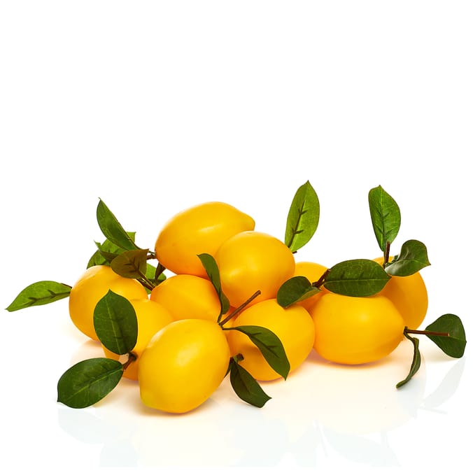 The Outdoor Edit Mediterranean Decorative Lemons