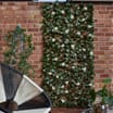 Jardin Artificial Ivy Leaf & White Rose Trellis