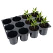 Jardin Small 12 Cell Seed Trays 8 Pack
