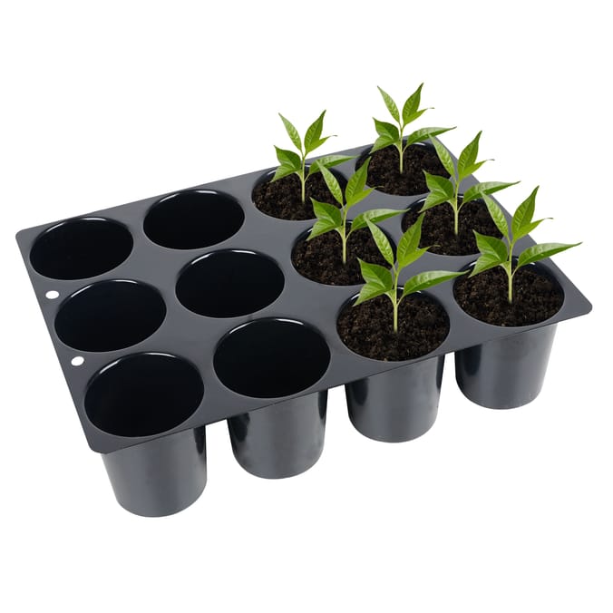 Jardin Small 12 Cell Seed Trays 8 Pack