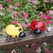 Jardin Bug Decoration