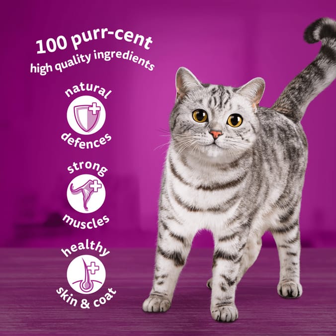 Whiskas Meaty Meals in Jelly 1+ Adult Wet Cat Food Pouches 12 x 85g