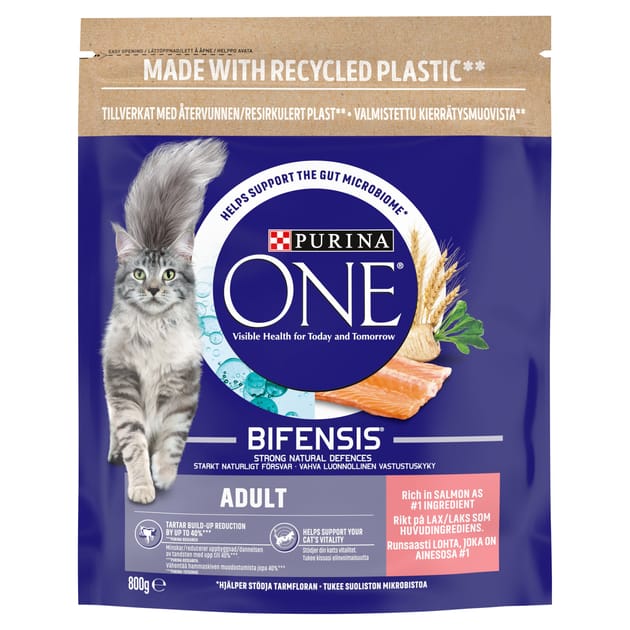 Purina One Adult Dry Cat Food 800g Salmon Whole Grains Home