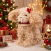 Sleigh Bells Sitting Dog Plus - Bow
