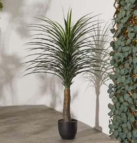 Jardin Artificial Yucca Plant