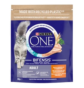 Purina One Chicken & Whole Grains Dry Cat Food 800g