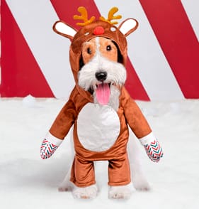 Chester's Pet Costume - Reindeer