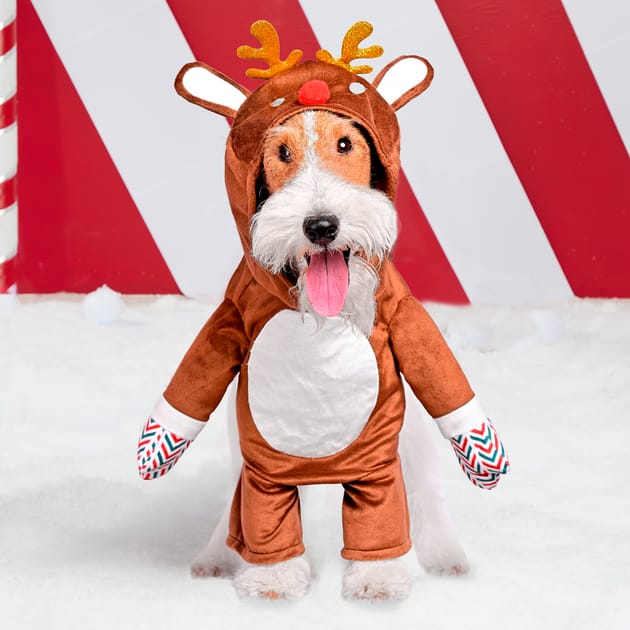 white christmas dresses Midlee Dog Santa Claus Costume