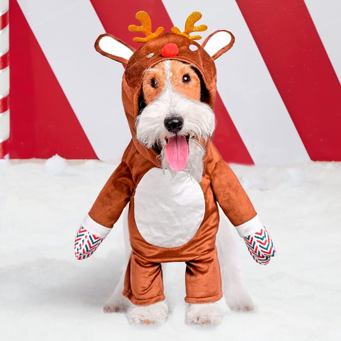 Puppy xmas outfits hotsell