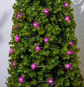 Firefly Solar Light Co String Solar Lights - Butterfly Pink