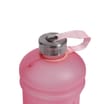 X-Tone Water Bottle with Handle 2.2l