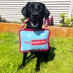 Chester's Bag Toy With Rope Handle