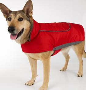 My Pets Dog Coat with Reflective Panels Red