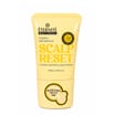 Eternite Scalp Reset Volume + Hair Ampoule 100ml