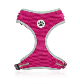 MyPet Dog Harness Pink