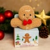 Chocolate Coins & Gingerbread Man Plush