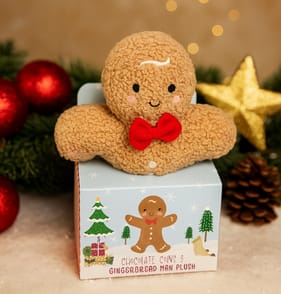 Chocolate Coins & Gingerbread Man Plush
