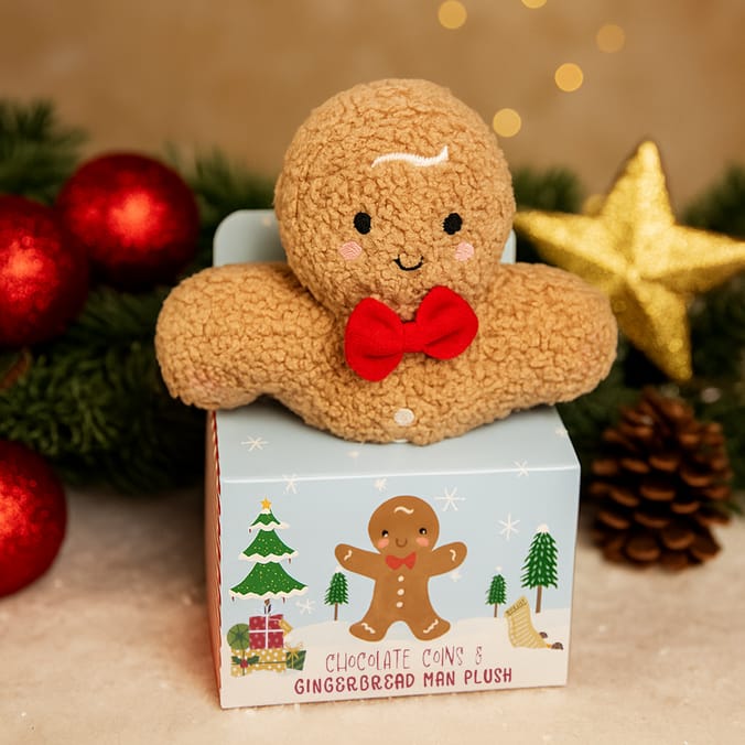Chocolate Coins & Gingerbread Man Plush
