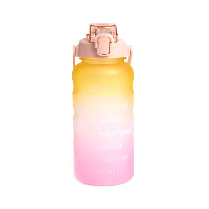 Home bargains online food flask