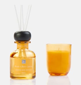  Wickford & Co Candle & Diffuser Gift Set - Neroli & Italian Cypress