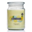 Wickford & Co Scented Candle 18oz - Frozen Lemonade 