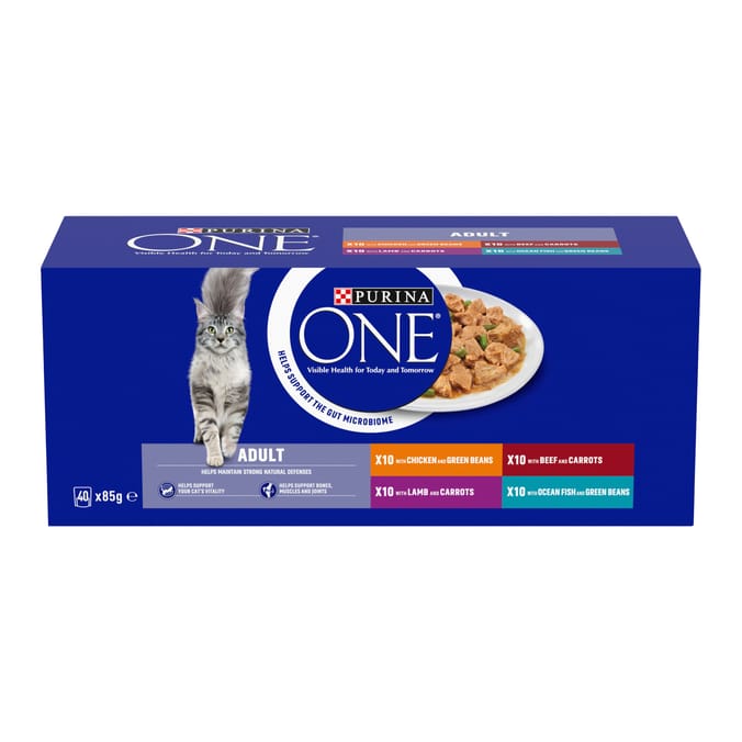 Purina one Mini Fillets Mixed Selection in Gravy Wet Cat Food 40 x 85g