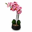 Home Collections Artificial Orchid Black Pot  