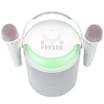 Equatech Wireless Karaoke Speaker With 2 Microphones