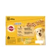 Pedigree Puppy Mixed Selection with Rice in Jelly Dog Food Pouches 12 x 100g