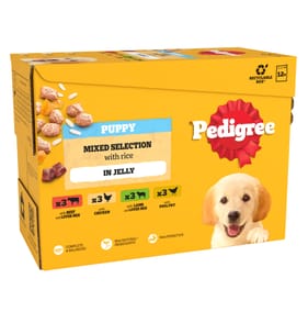Pedigree Junior Puppy Wet Dog Food Pouches 12 x 100g - Mixed Selection In Jelly