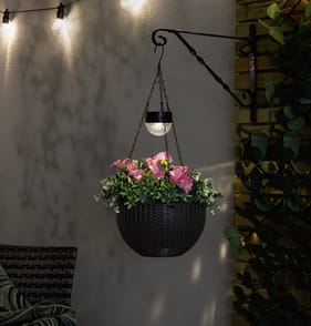 Firefly Hanging Basket Solar Light