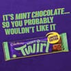 Cadbury Twirl Mint Flavour 43g Limited Edition x48