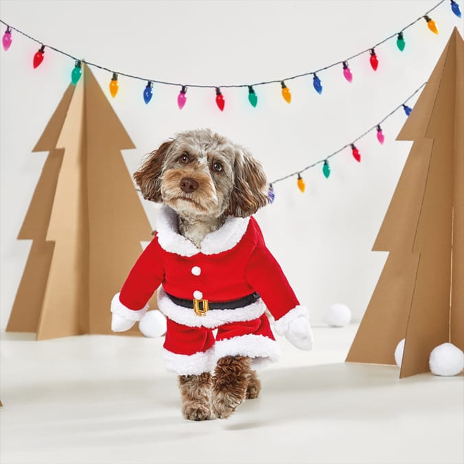 Puppy on sale christmas outfit