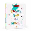 Thank You So Much Small Gift Bag