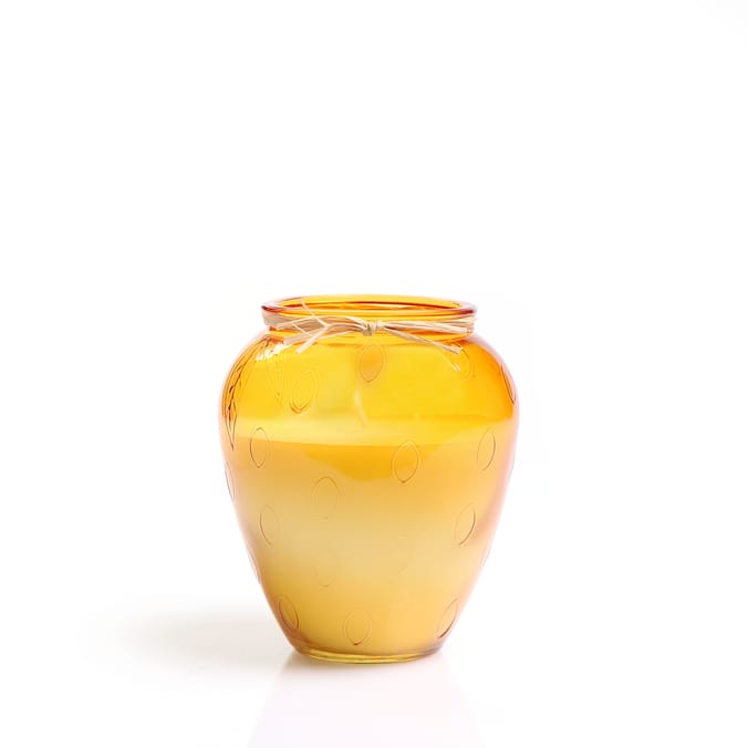 Outdoor Fruit Citronella Candle