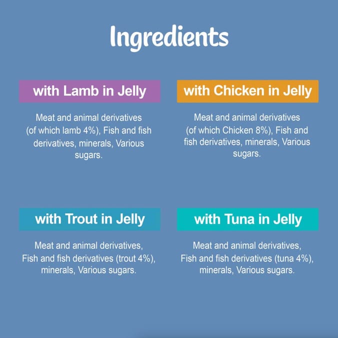 Felix Original 7+ Mixed Selection in Jelly Wet Cat Food 12 x 100g