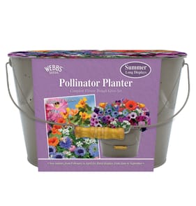 Webbs Complete Flower Trough Grow Set - Pollinator Planter