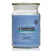 Wickford & Co Scented Candle 18oz - Ocean Breeze