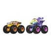 Hot Wheels Monster Trucks 2 Pack FYJ64