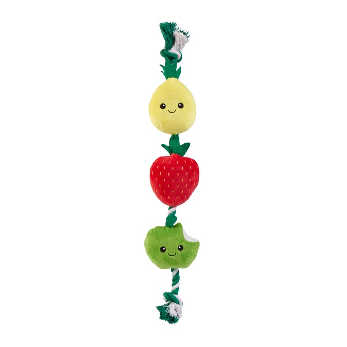 Chester's Fruit On A Rope Tug Dog Toy