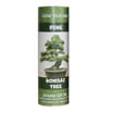  Funky Tubes Growing Gift Set - Pine Bonsai Tree