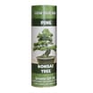 Funky Tubes Growing Gift Set - Pine Bonsai Tree