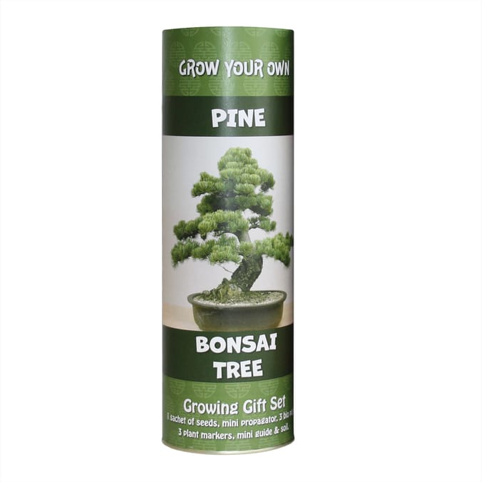 Funky Tubes Growing Gift Set - Pine Bonsai Tree