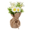 Home Collections Mini Flower Pot - Daisy
