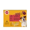 Pedigree Mixed Selection in Jelly Adult Wet Dog Food Pouches 12 x 100g